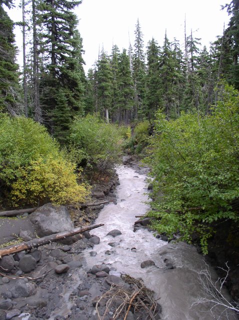 Newton Creek Oct 16 2005 076 